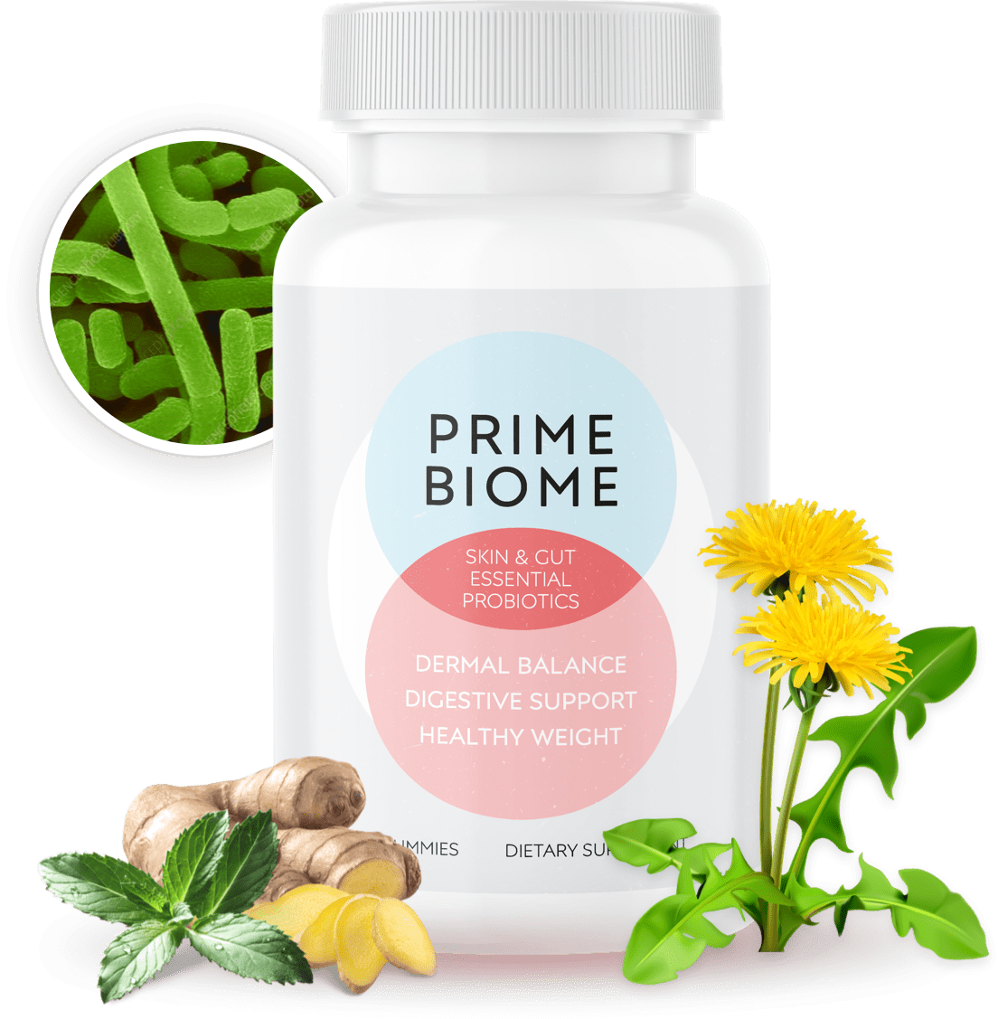 PrimeBiome™: The Probiotic Gummy That Supports a Healthy Gut, Youthful Skin, and Graceful Aging
